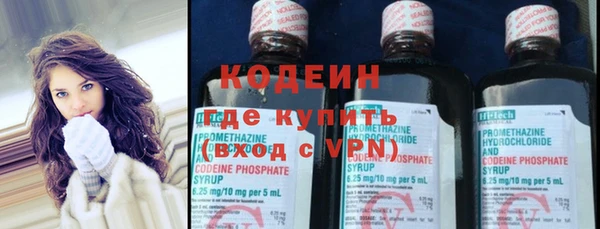 дживик Богородск