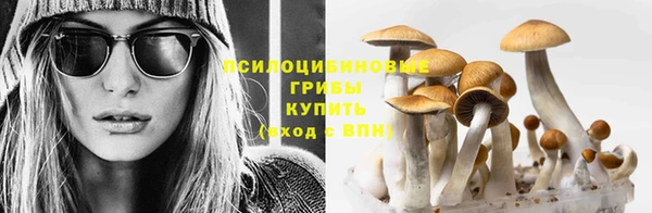 дживик Богородск
