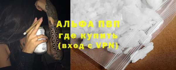 гашиш Богданович