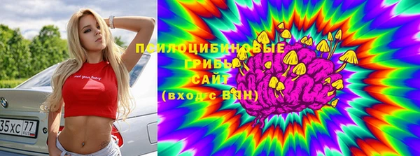 гашиш Богданович