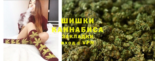 гашиш Богданович
