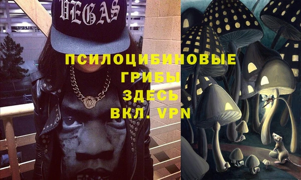 гашиш Богданович