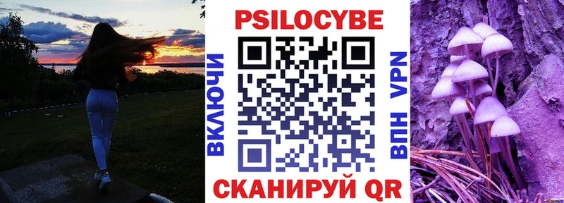 Галлюциногенные грибы Psilocybine cubensis  Санкт-Петербург 